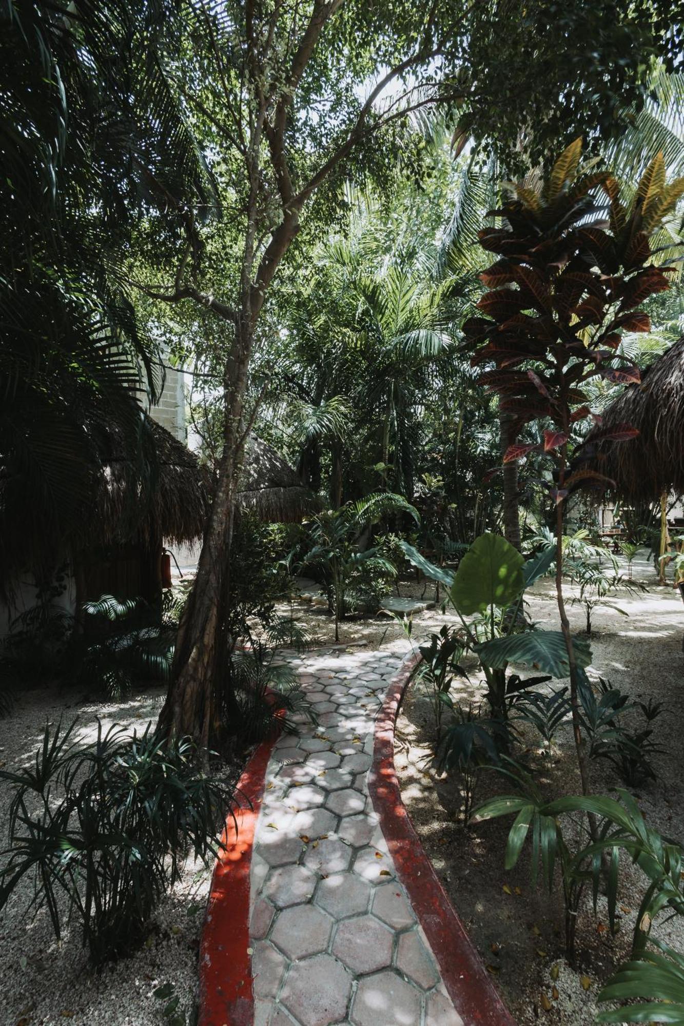Hotel Casa Barbara Holbox Экстерьер фото